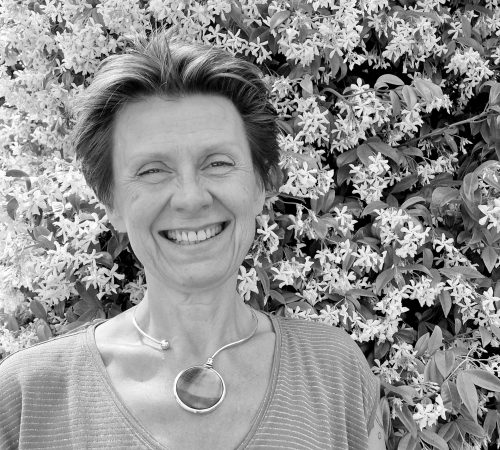 Atelier-constellations-familiales-royan-Aline-blanc